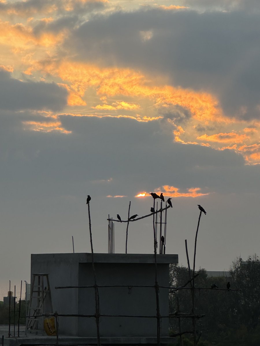 Rohit Kapoor On Twitter RT MRVChennai Sunrise In Chennai On rohit-kapoor-on-twitter-rt-mrvchennai-sunrise-in-chennai-on