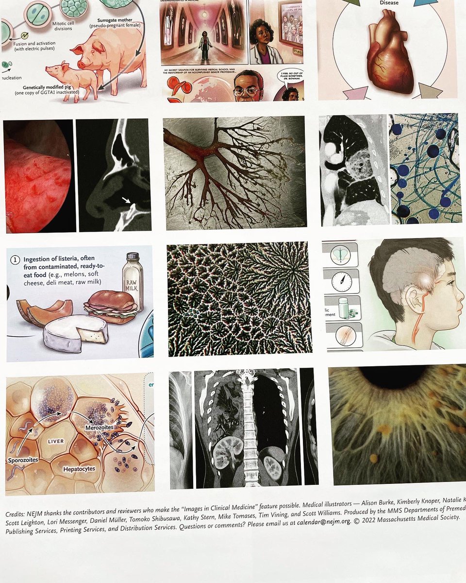 DrDespina123's tweet photo. Happy to receive my #medicalimages #calendar from @nejm 
I love the big areas to write and #scienceillustrations https://t.co/w7SdXy9PrQ