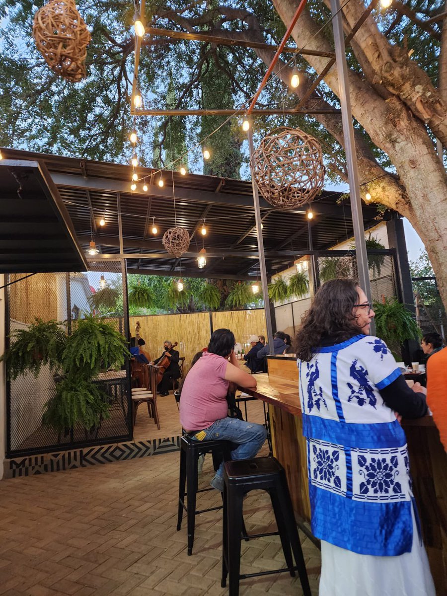 Territorioscore's tweet photo. A la sombra de un nuevo árbol una tarde de música y café con el Quinteto de Cuerdas Oaxaca en Brío Café 
Conoce sus nuevas instalaciones en Calle Morelos #4, San Sebastián, Etla, Oaxaca. https://t.co/tQ45YtdGBx