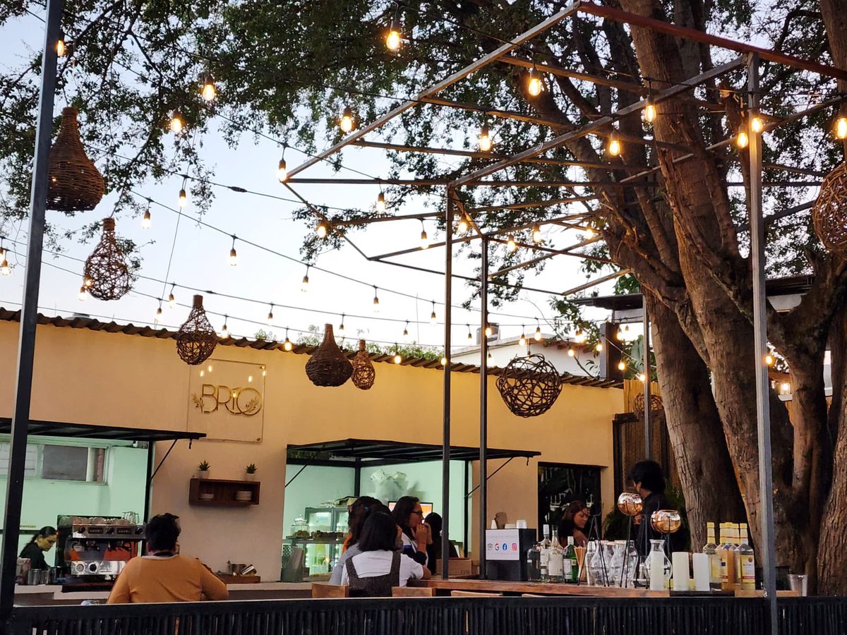 Territorioscore's tweet photo. A la sombra de un nuevo árbol una tarde de música y café con el Quinteto de Cuerdas Oaxaca en Brío Café 
Conoce sus nuevas instalaciones en Calle Morelos #4, San Sebastián, Etla, Oaxaca. https://t.co/tQ45YtdGBx