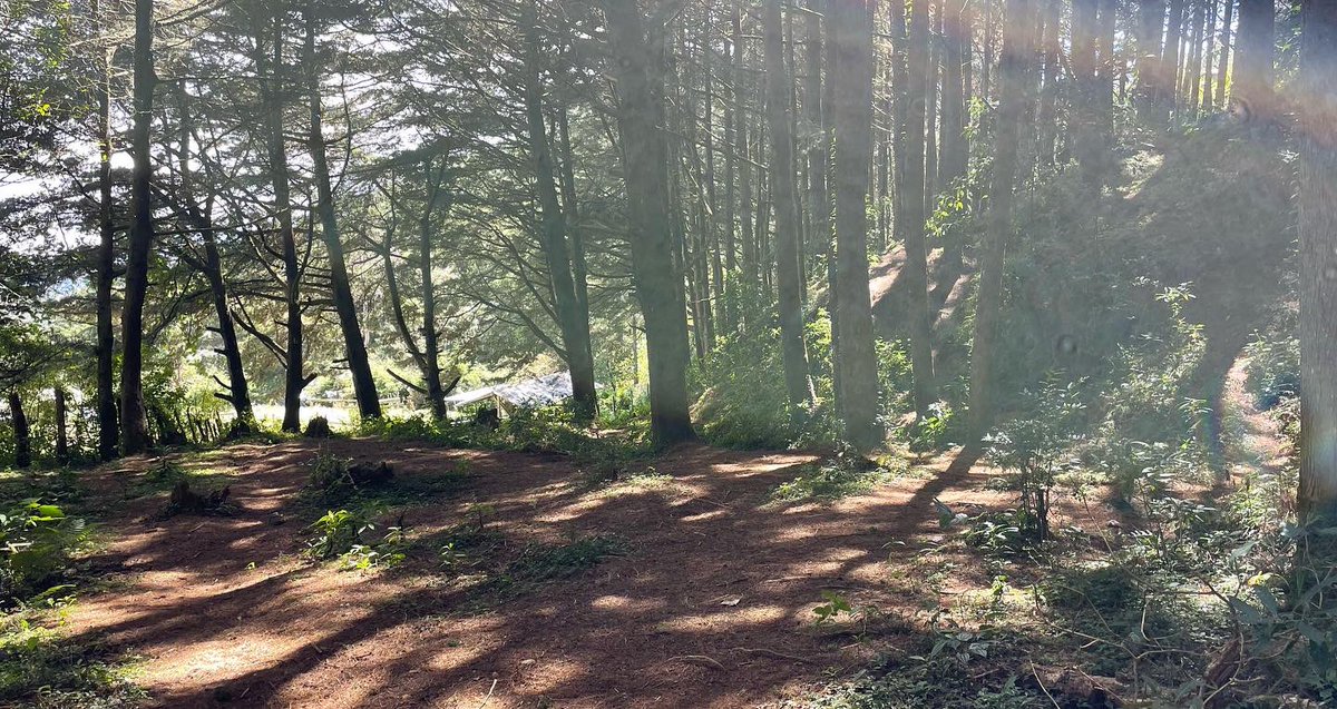 Mi iglesia mi ciudad, la visión de la Iglesia, la iglesia no son cuatro paredes, es cada momento del día a día