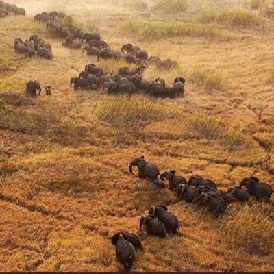 YSholeye's tweet photo. #NewProfilePic https://t.co/LtdfPmIIxI