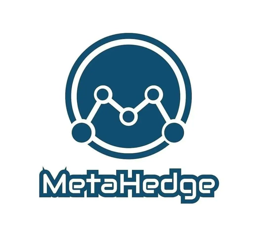 Meta_Hedge's tweet photo. @AltGemHunter https://t.co/Ezovv9vHix