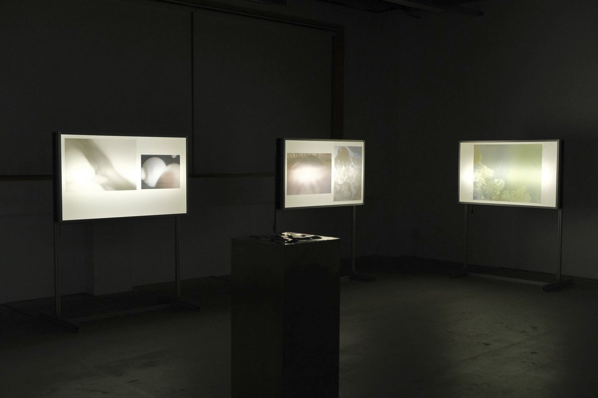 samosam0_'s tweet photo. 武蔵野美術大学卒業・終了制作展　16号館206にて、展示を行っています。

腹腔鏡手術で卵巣嚢腫を摘出したこと。その手術の際に穴を開ける臍には、多様な細菌が存在していることをテーマに制作した作品です。
#mauias2022  #武蔵野美術大学卒展 
#武蔵野美術大学 https://t.co/6ei3ULzxkn