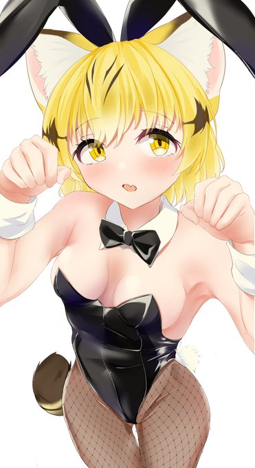 スナネコちゃん 