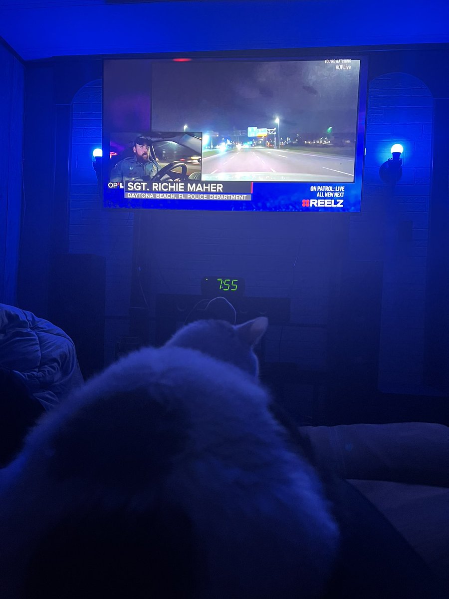 The_JimmyD's tweet photo. @sfgiglio Thanks! Just changed the lights to #pdblue #OPLive #OPNation #OnPatrolLive #CooterBrown https://t.co/DlJa4zh9LV