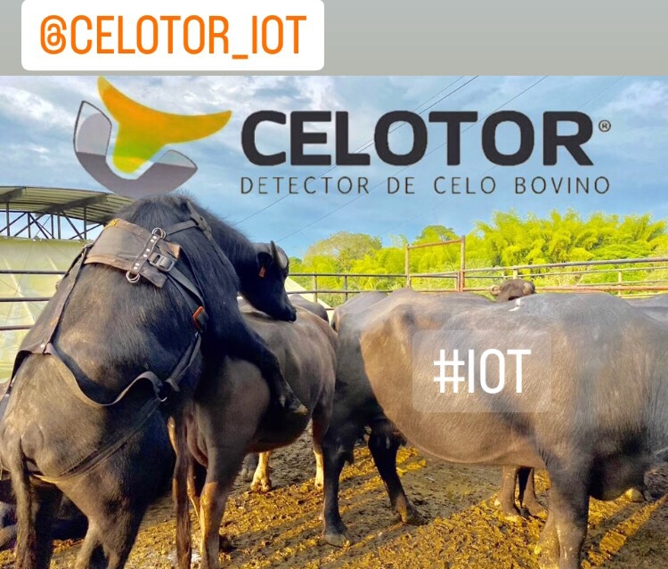 detector de inicio de celo ahora patente #Brasil