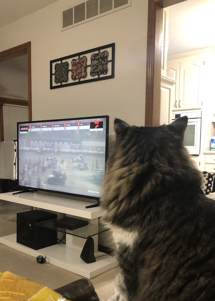 MissTeeTee44's tweet photo. @FloRacing @NosEnergyDrink #TweetYourSeat   Camber loves watching the races on #FloRacing https://t.co/S0O6wE4llf