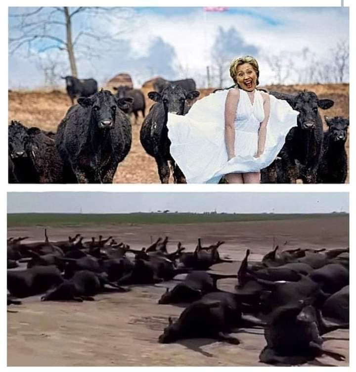 ButcherEdward tweet media