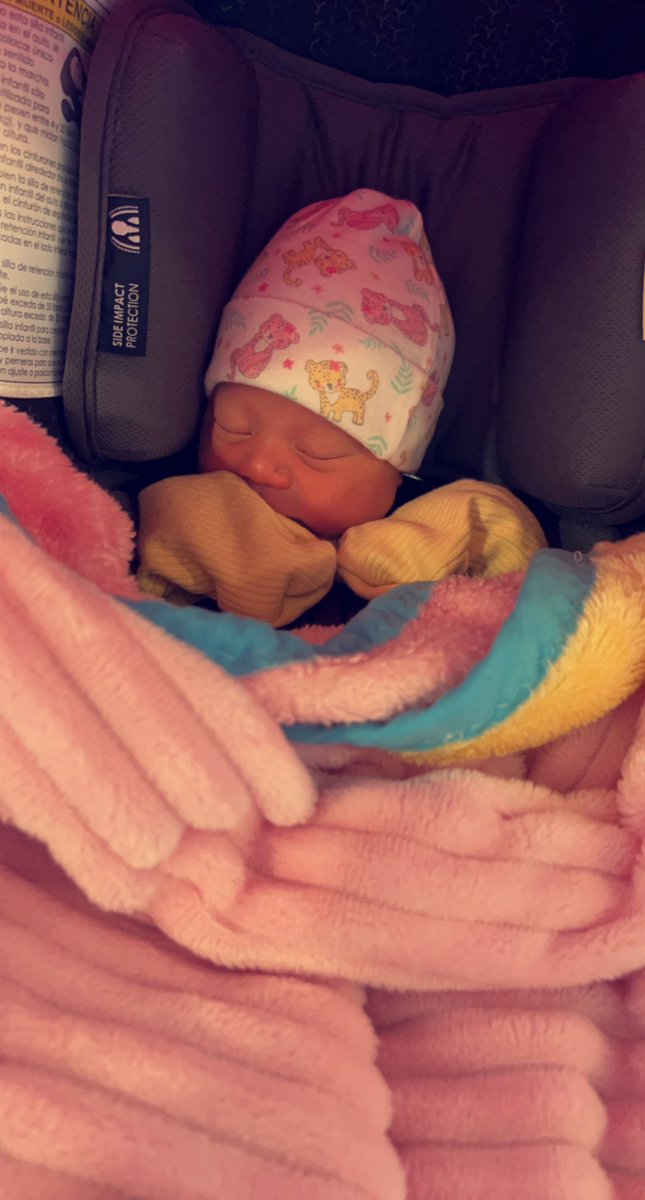 ༄ Λ࿆ຮ࿆ℏ࿆ ✘ tweet media