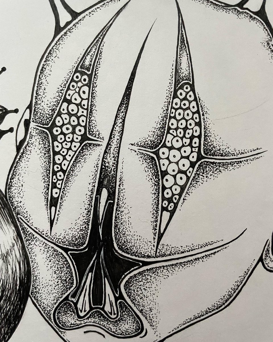 pixifunk's tweet photo. “To Watch Each Blossom Fall” 

9’ x 12’ 
0.05mm Ink on Mixed Media Paper https://t.co/FLwXEVA0qj