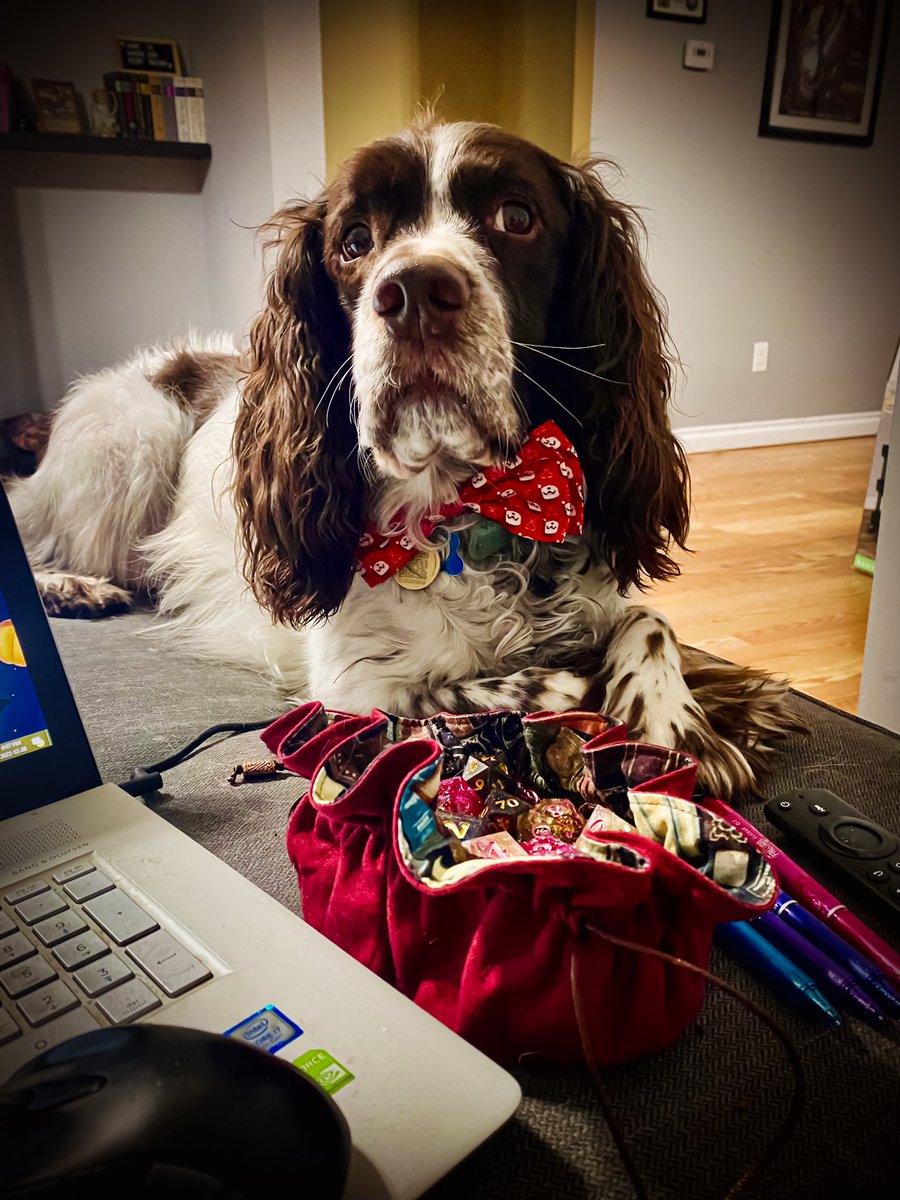 FeyGhostGirl's tweet photo. @DnD_Shorts This is Merlin during our weekly game night. He watches your videos with us too! https://t.co/ESvvYGWFel