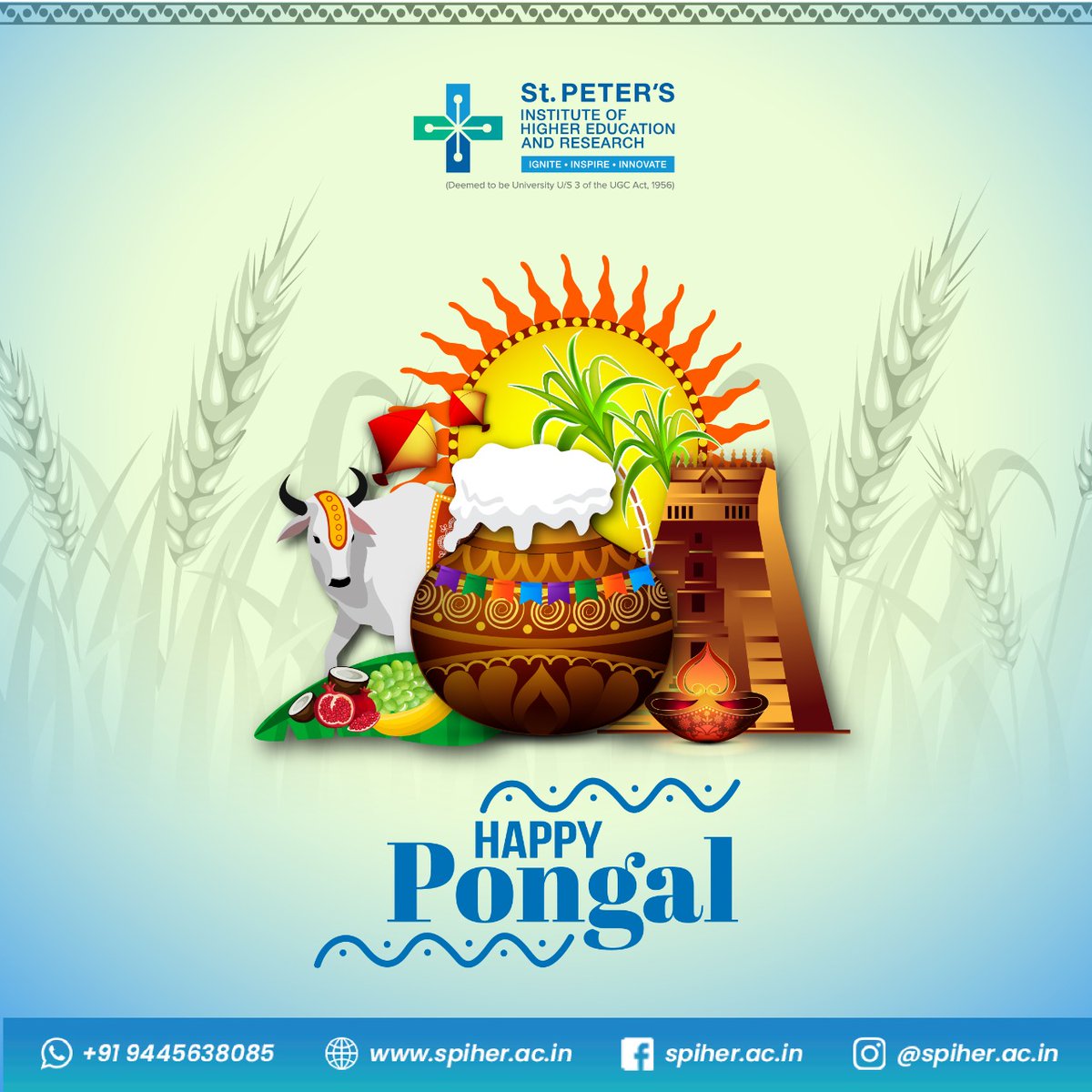 Happy Pongal from #SPIHER to you!✨

May this year be filled with good luck, good health and good times. 
Happy Pongal!

#pongal #pongalopongal #makarsankranti #sankranti #pongalcelebration #farmers #SPCET #University #festival #celebrations #harvestfestival #happiness #Stpeters