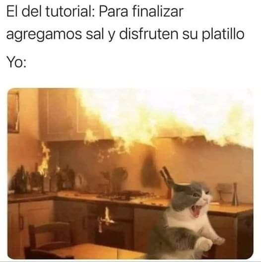 Yo cocinando, no me sigan, mis recetas quedan quemadas 😿