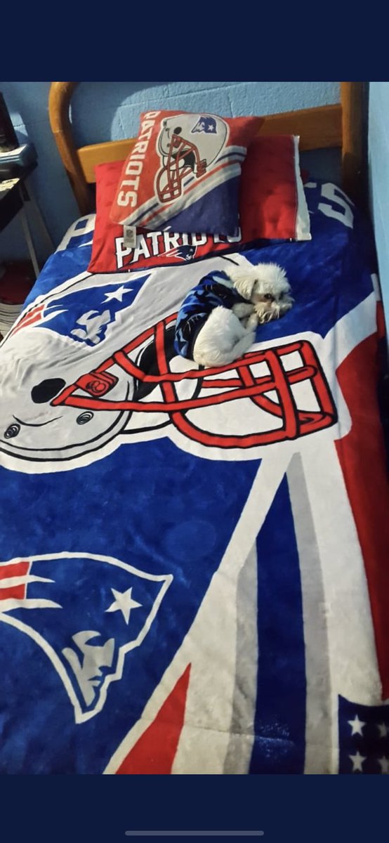adysauno's tweet photo. #WildCardEnTUDN #somospats #patriots https://t.co/CyNg7oSXJC