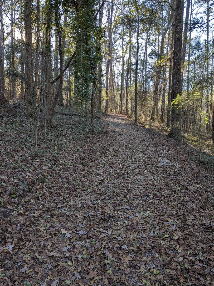 Dan Burt tweet media