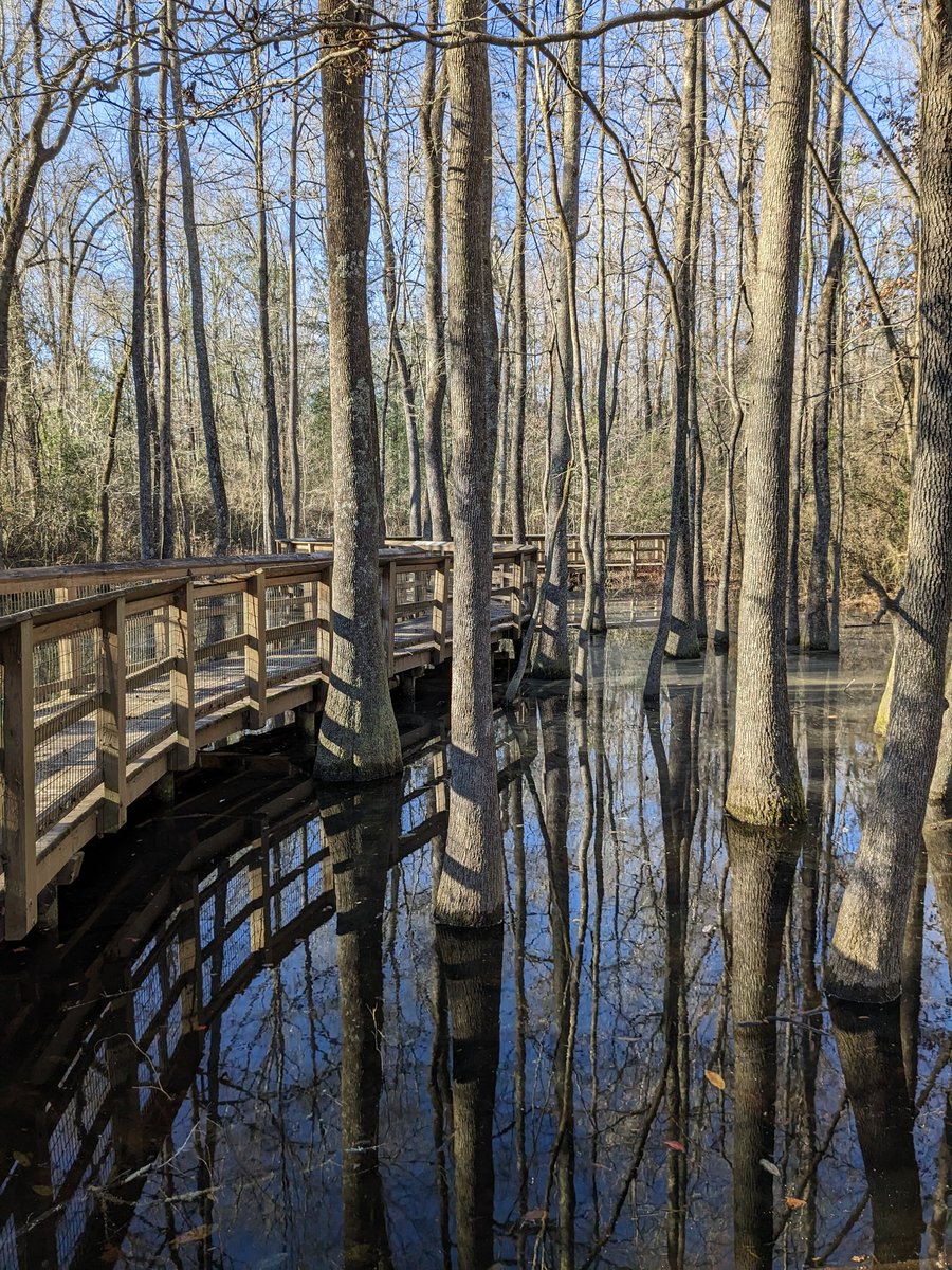 Dan Burt tweet media