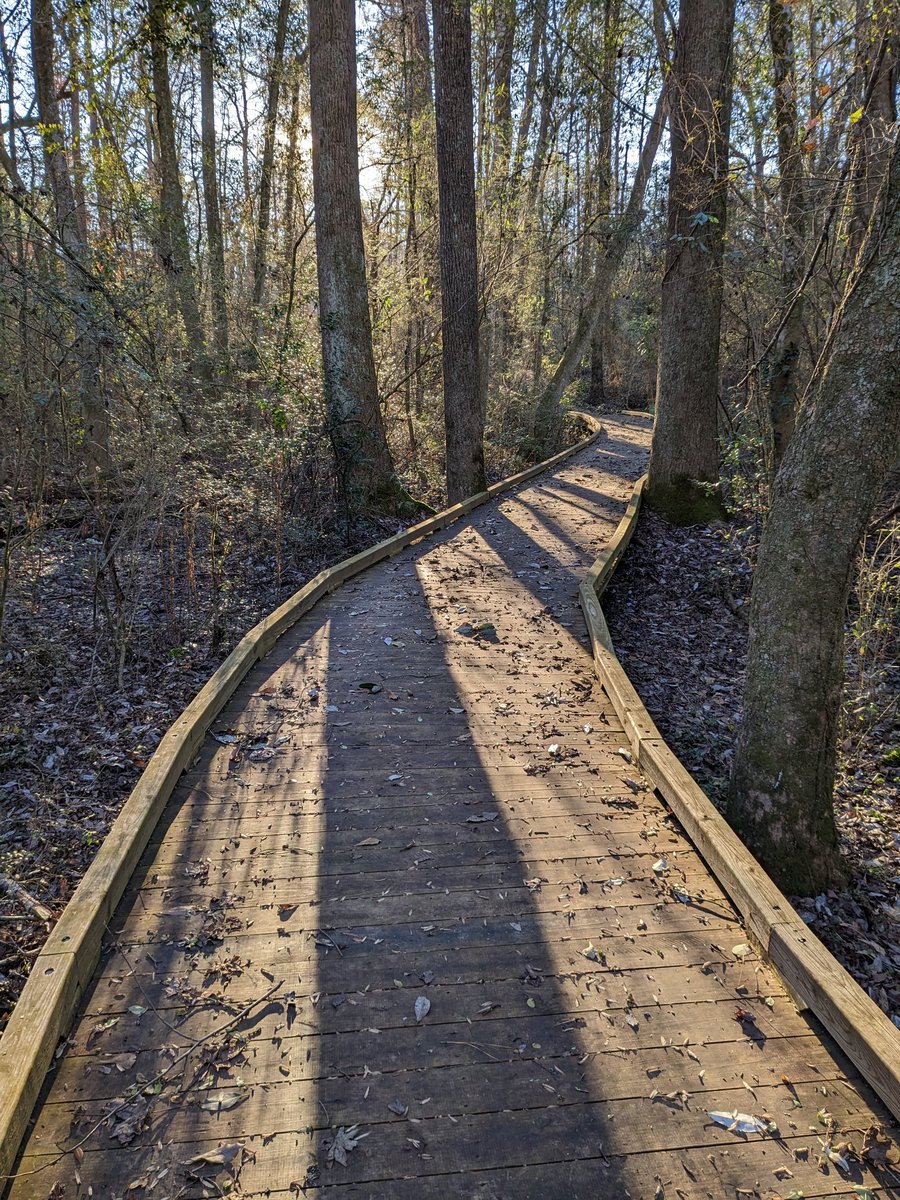 Dan Burt tweet media