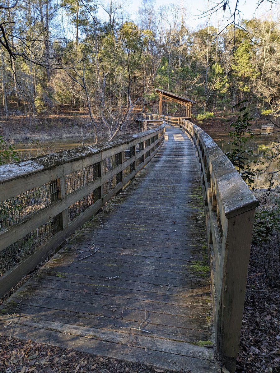 Dan Burt tweet media