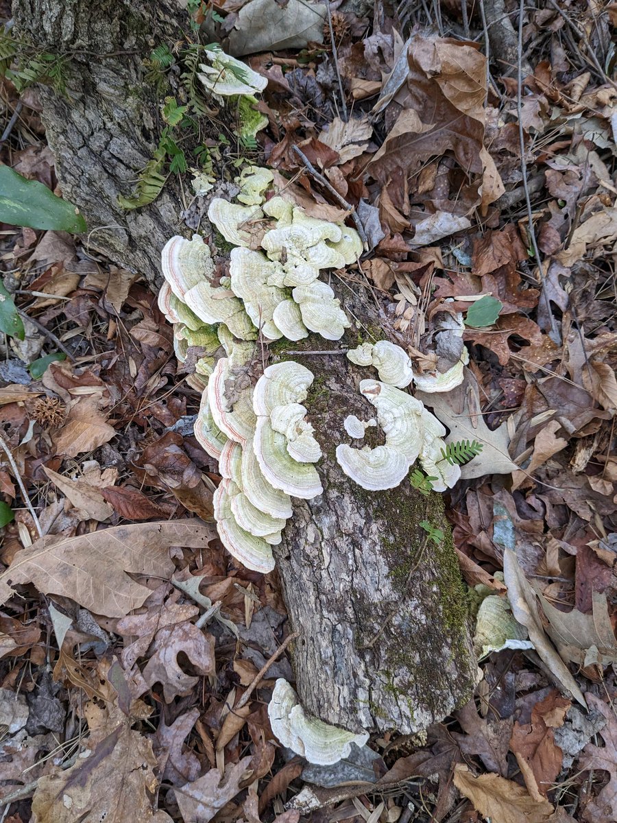 Dan Burt tweet media