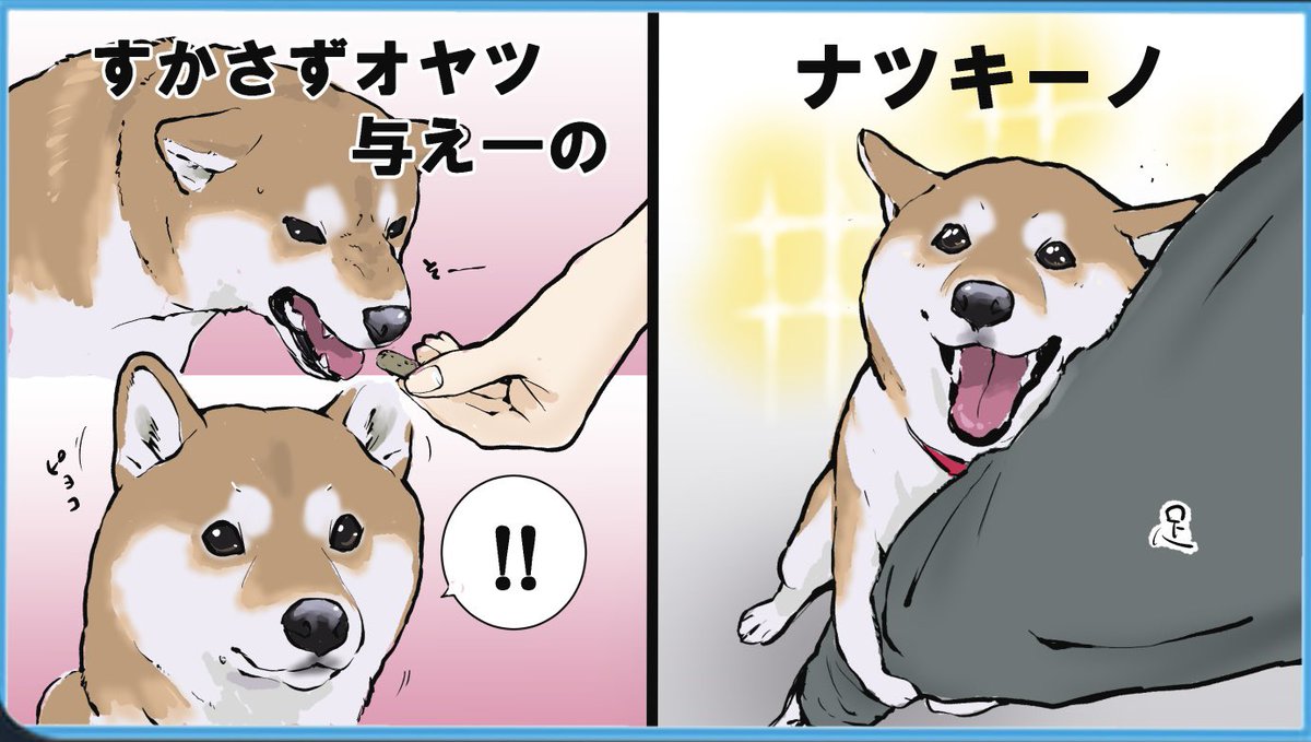 吠えてくる犬を攻略する一連の流れ 