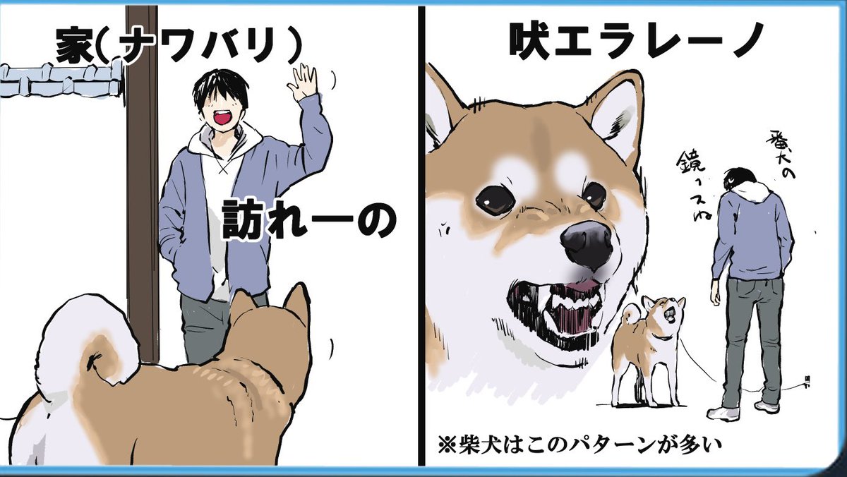 吠えてくる犬を攻略する一連の流れ 