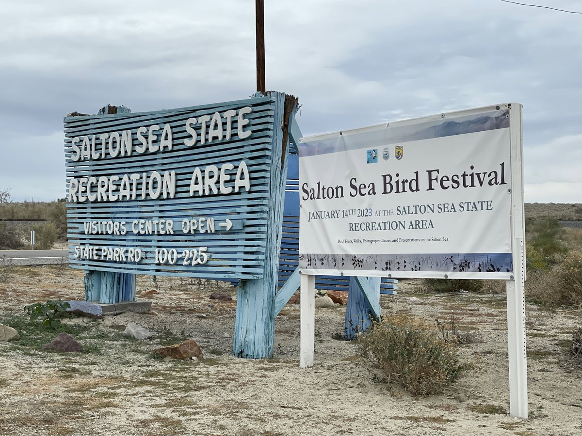 First things first, what a great day at SSSRA and Bird Festival! Excellent program and tour by Wendy (@geococcyxcal). Very nice to put a face to another #naturetwitter friend! Also saw @saunieindiego there! 
#SaltonSea