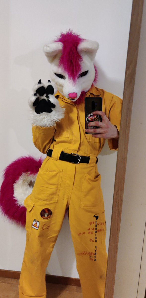 CarielTheWolf's tweet photo. Happy #FursuitFriday https://t.co/ImLz24SIet