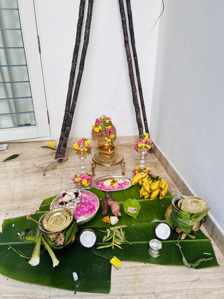 தை திருநாள் வாழ்த்துகள் 🌞