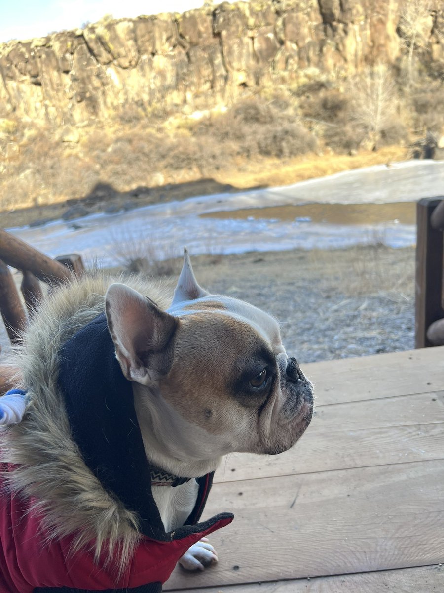 Walks in this beautiful terrain.