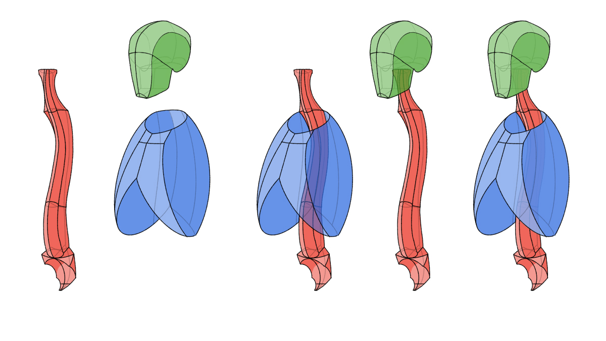 full body multiple views no humans simple background white background  illustration images