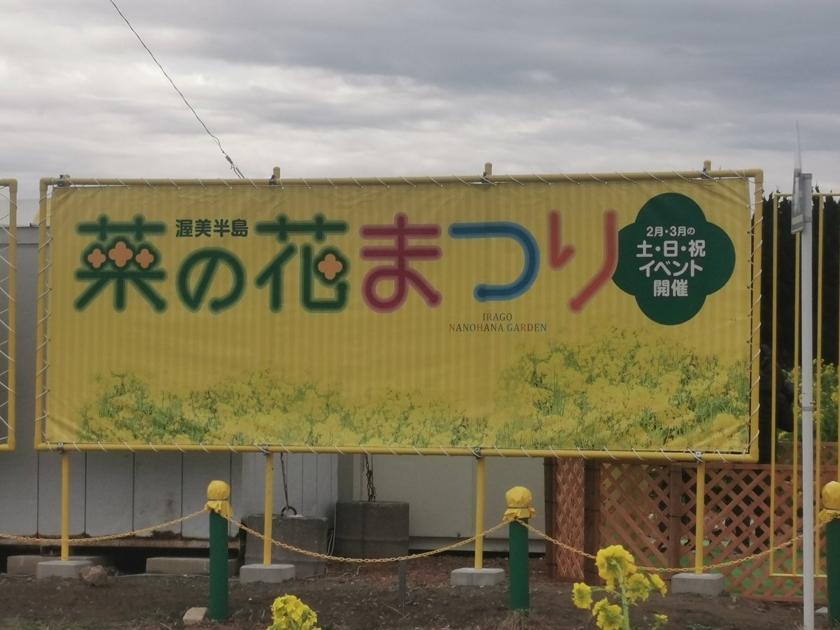 kenichi5484's tweet photo. 渥美菜の花まつり
満開はもう少し先だね https://t.co/RSRcQNmDXh