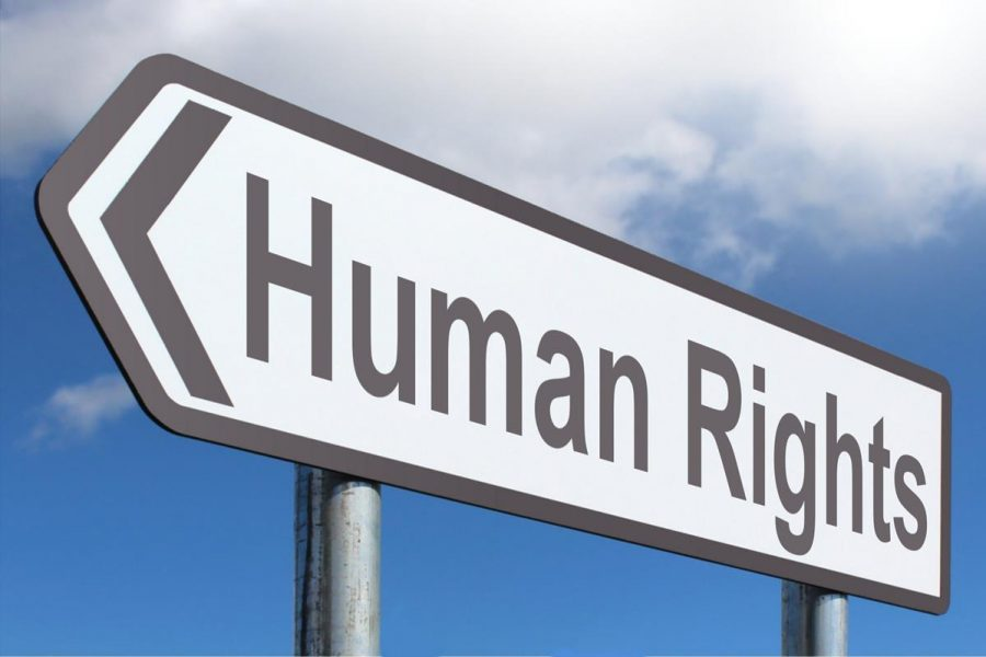 Ljb2Liam's tweet image. Human Rights and Human Solutions
ljb2.wordpress.com/2019/03/10/hum… via @Ljb2Liam
#humanrights #positivesolutions #greed #corruption #blog #newbeginnings