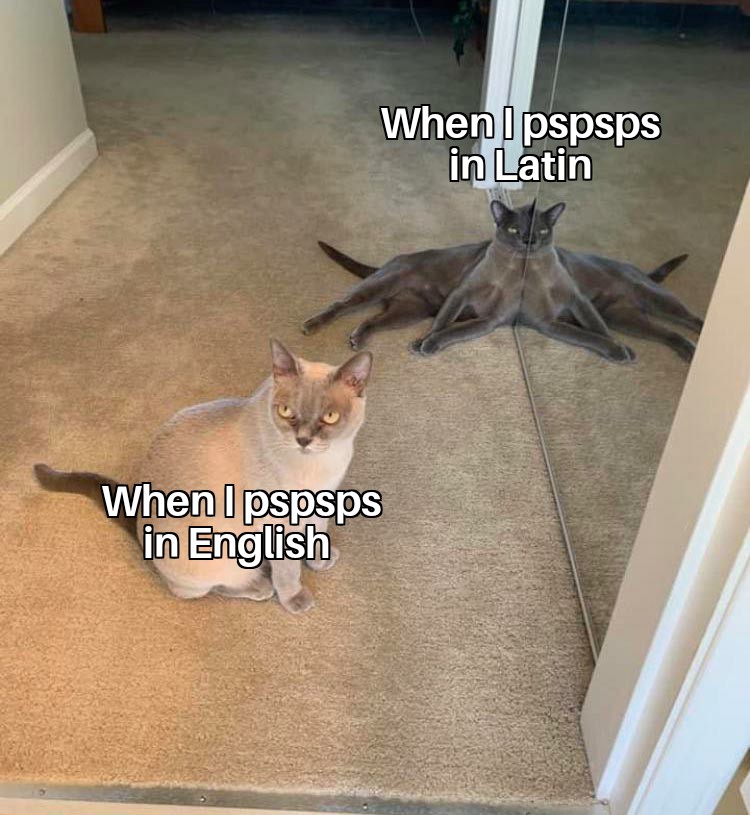 WholesomeMeme's tweet photo. https://t.co/zWrDjAfAxo
