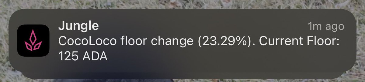 dateamsonmyback's tweet image. Out at dinner and this alert pops up on my phone 😂

You Degens 🥵
@LocoNutzNFT #CocoLoco