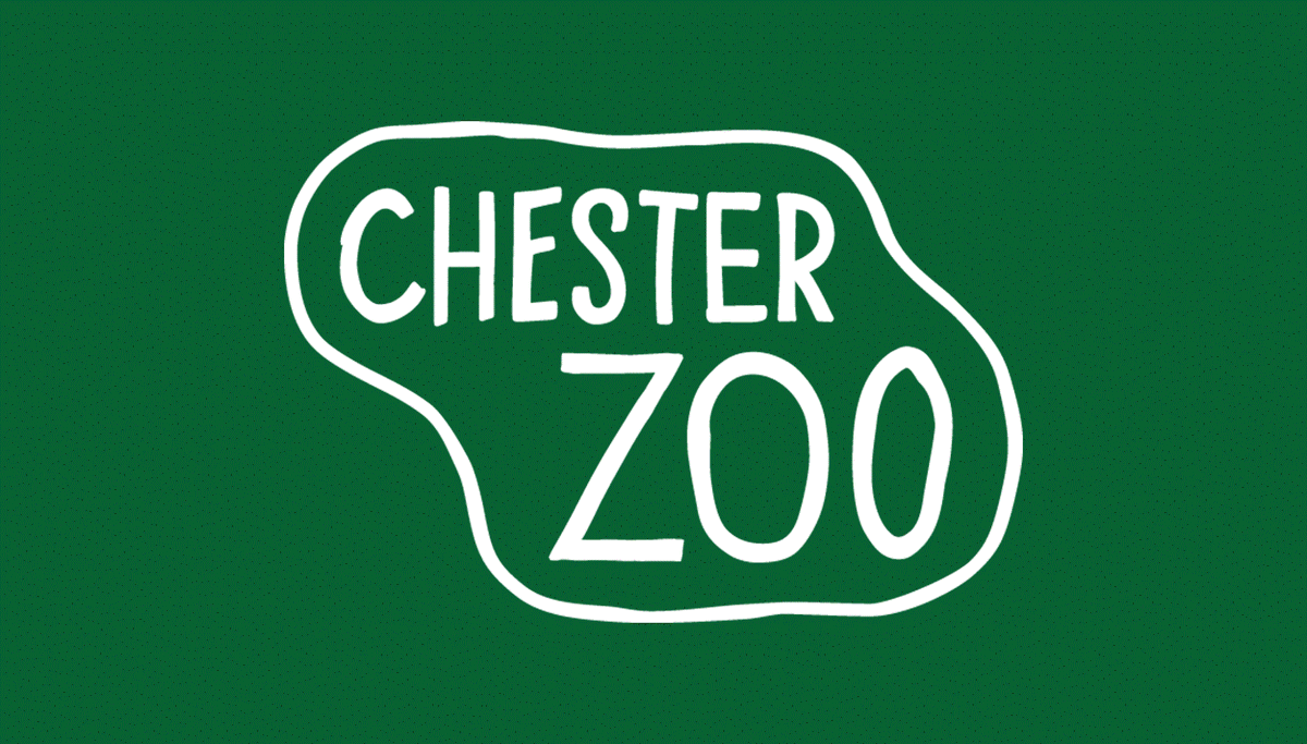 JCPinCheshire's tweet photo. Animal and Plant Assistant @chesterzoo in Chester 

See: https://t.co/J1F2RITUZM 

#CheshireJobs #ZooJobs  #HorticultureJobs #JobswithAnimals https://t.co/JaQiBsozN0