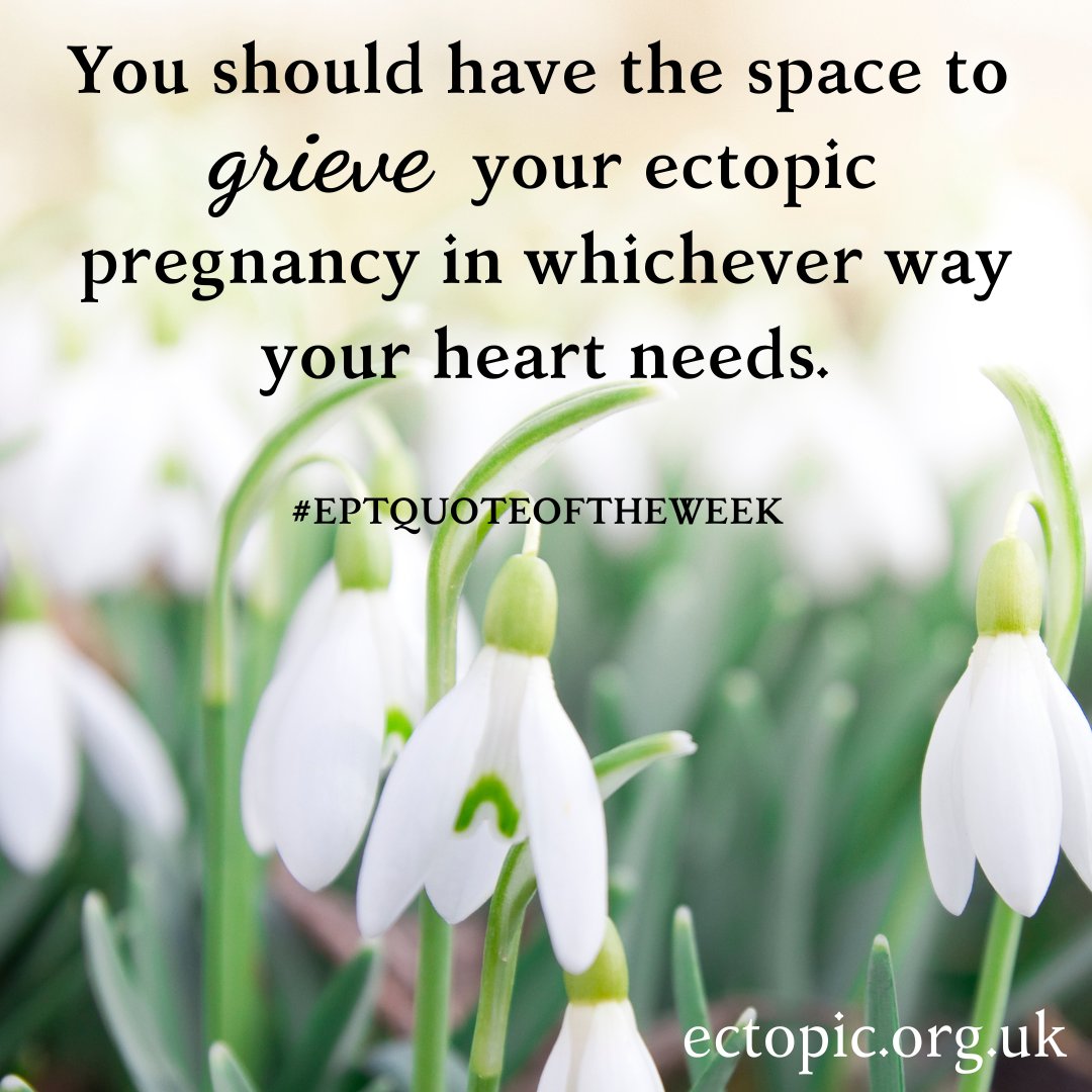 TheEPT's tweet photo. You should have the space to grieve your ectopic pregnancy in whichever way your heart needs.
#EPTQuoteOfTheWeek #TheEPT #EctopicPregnancy https://t.co/XTVORlePlG