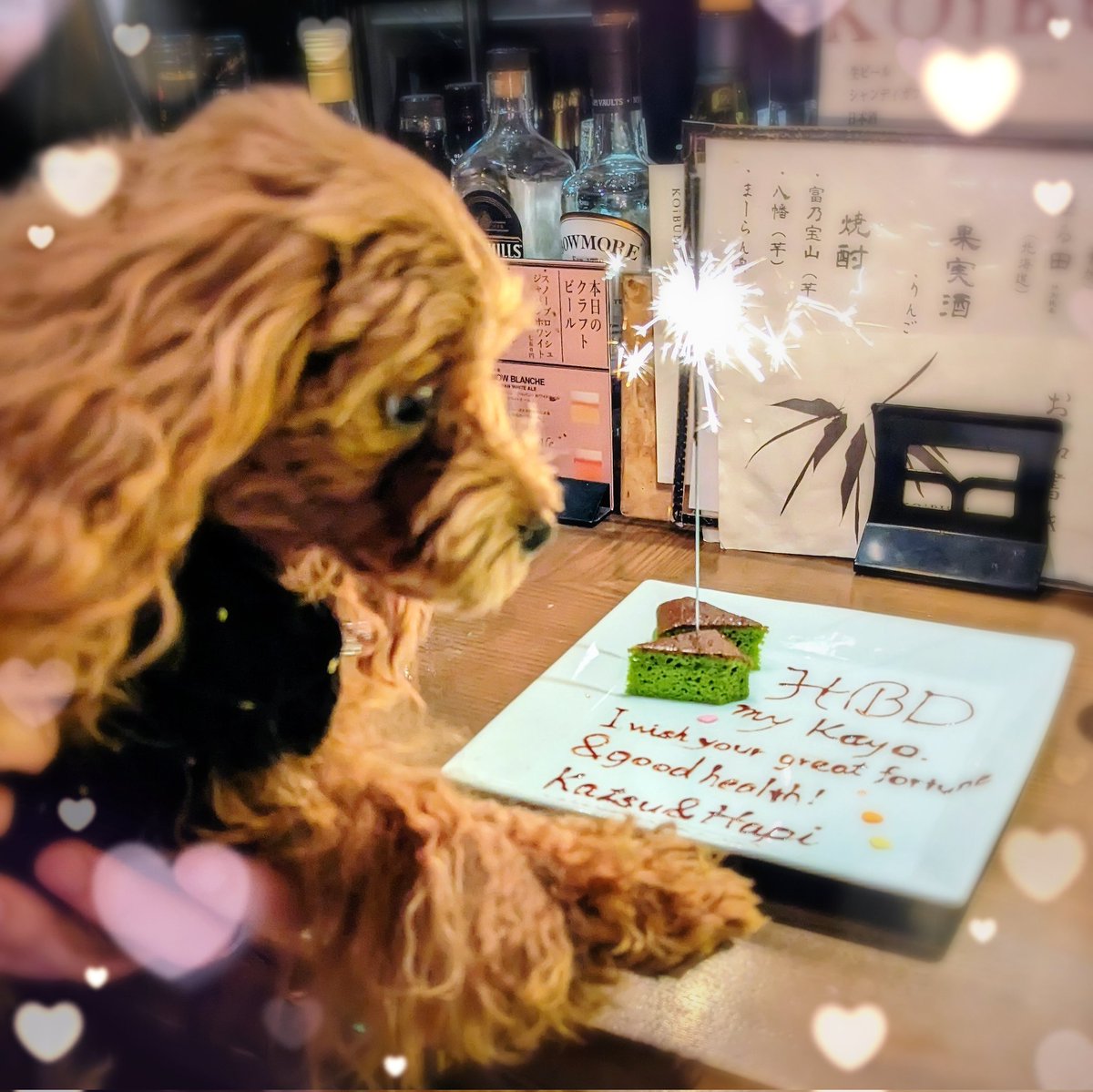 hapitan_marupu's tweet photo. ⁡⁡昨日はママちゃんの誕生日🎂✨⁡
⁡臨ちゃんと合同お誕生日会してもらったよー🐶🎶⁡
皆さますっごい楽しい&amp;素敵なgiftをたくさんありがとーっっ😍💕
⁡⁡⁡⁡めっちゃ楽しすぎる思い出深い誕生日になったよー🥰
#マルプー #いぬのいる暮らし #犬のいるしあわせ  #誕生日 https://t.co/IBrtPHouGw