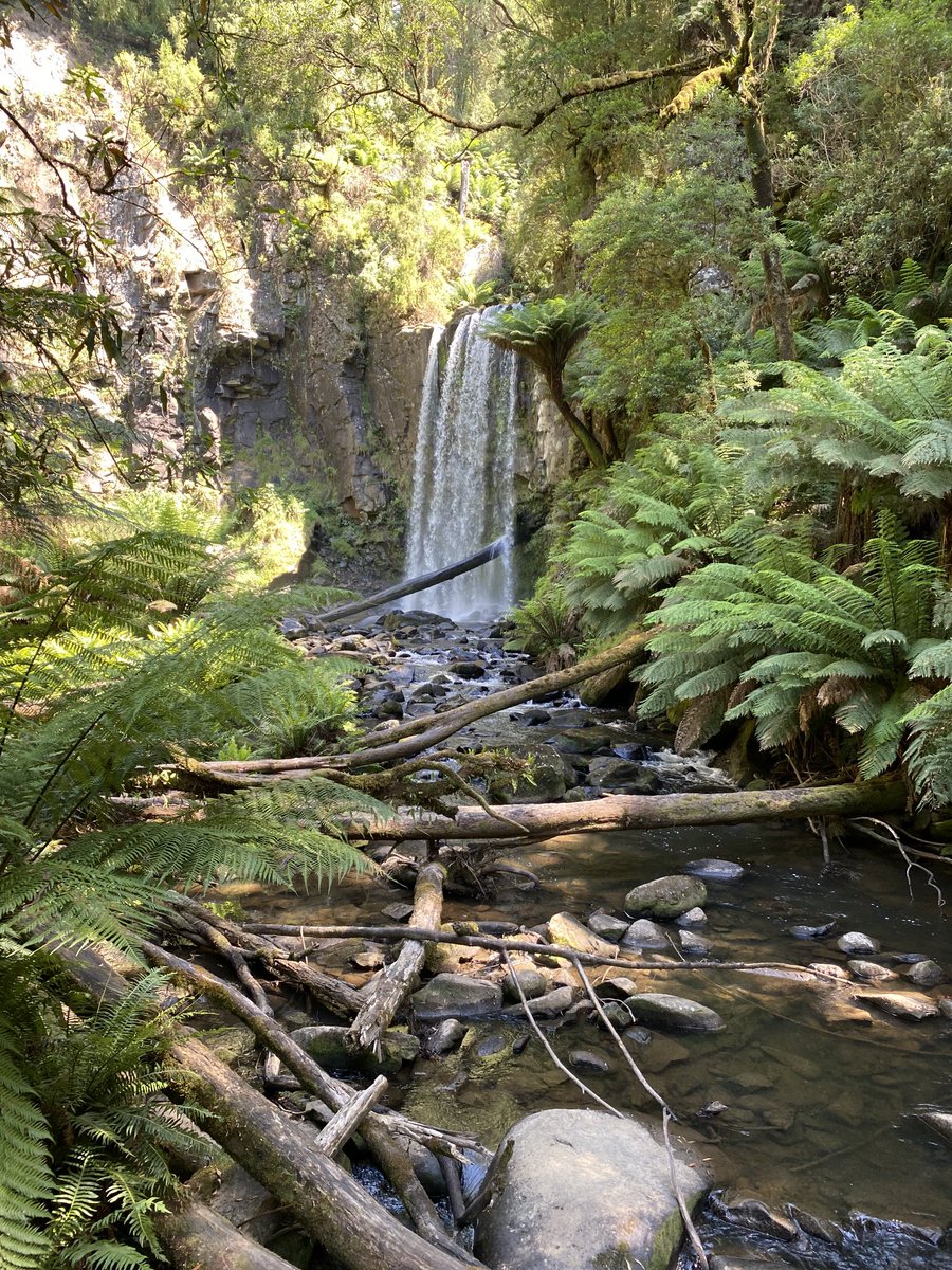 Vanda_Vadas's tweet photo. Out and about in nature.
#HopetounFalls #BeechForest #Victoria #nature #walking #weekend https://t.co/dpWWhCUAL2