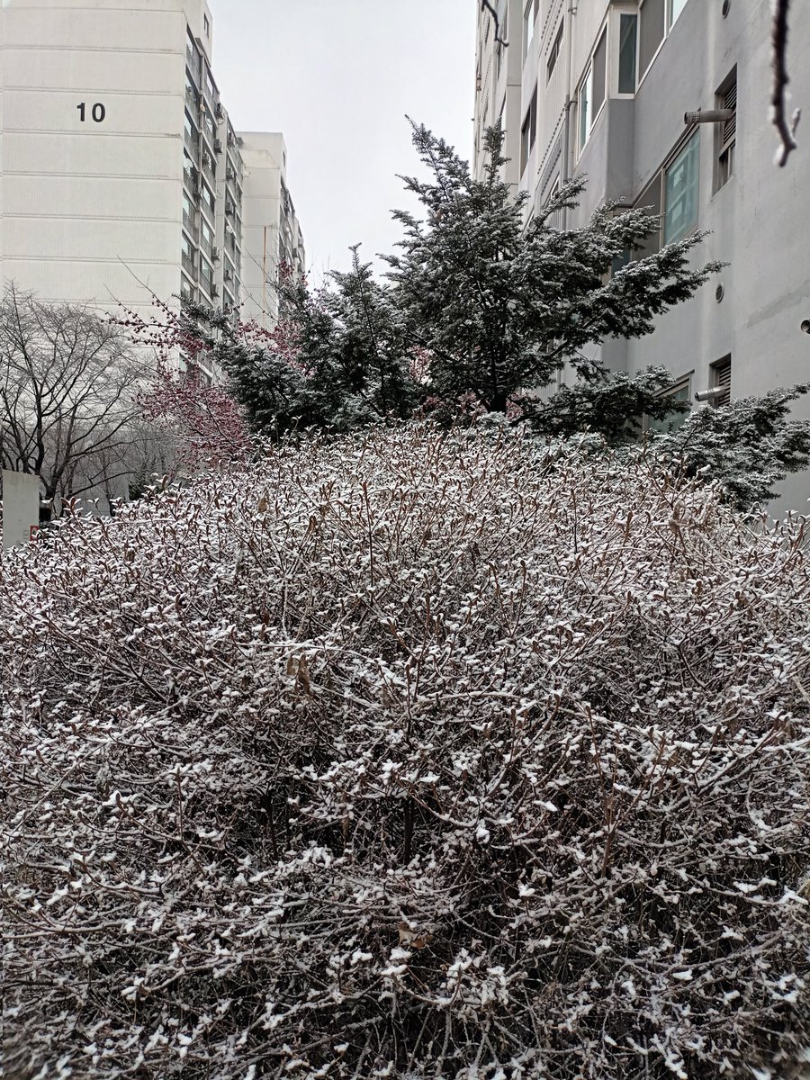 2023.01.15,일

눈이 내린 일요일,
아파트 조경수에 눈꽃이!
겨울을 느끼는 소소한 즐거움
이 또한 행복입니다.

저를 아시는 모든 분들
계묘년 새해 건승을 빕니다.
설 명절 잘 보내십시오.

시민이 행복한 초일류도시 인천!
균형.창조.소통의 가치가 
300백만 시민과 함께!