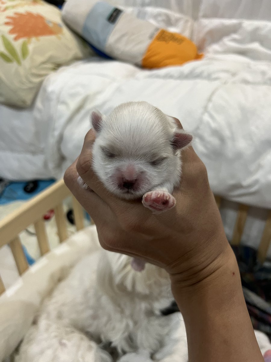 PaiPartith's tweet image. ยังเล่นทวิตกันอยู่ไหม?