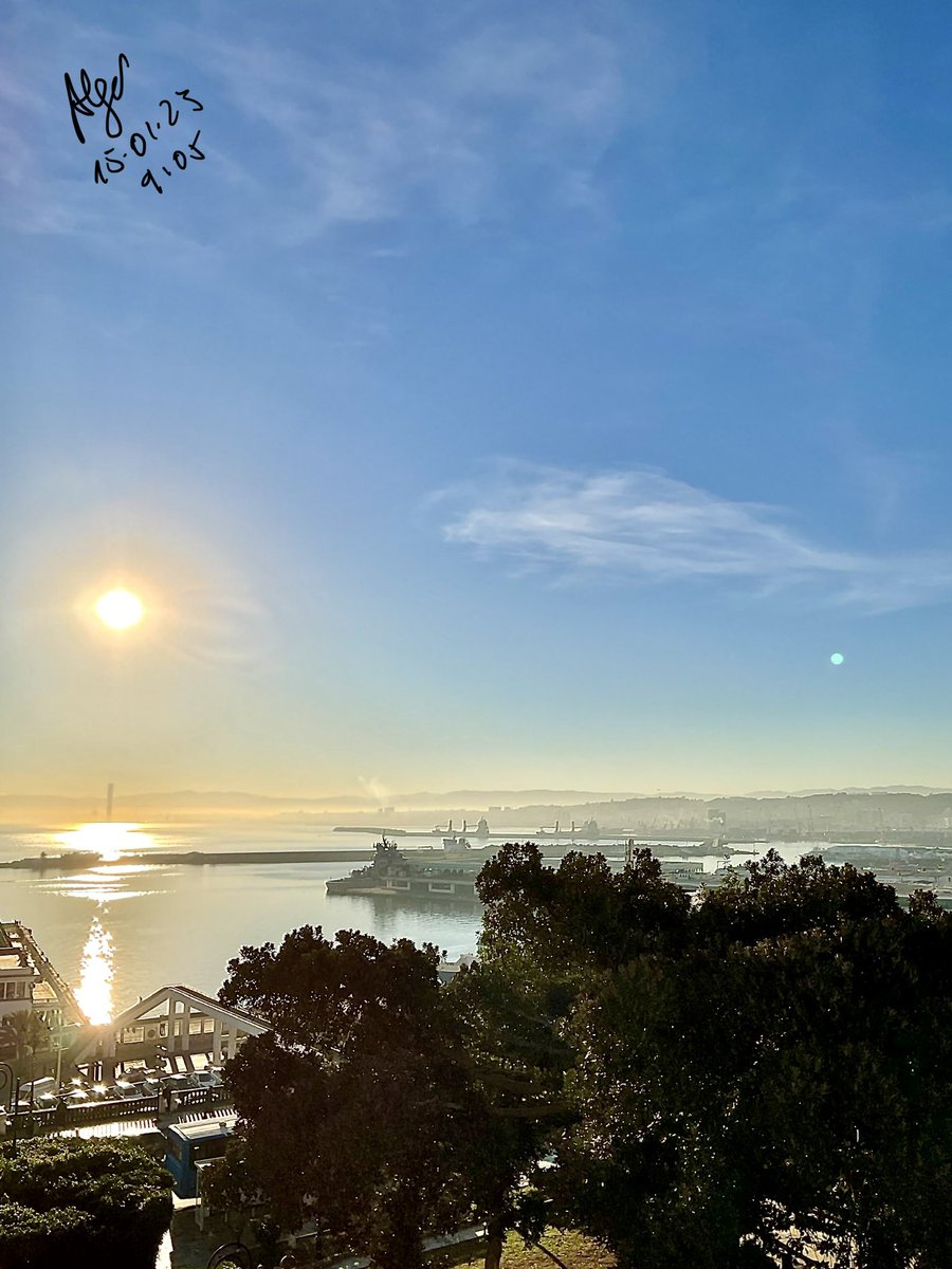 Samir Toumi (@samtoum) on Twitter photo 