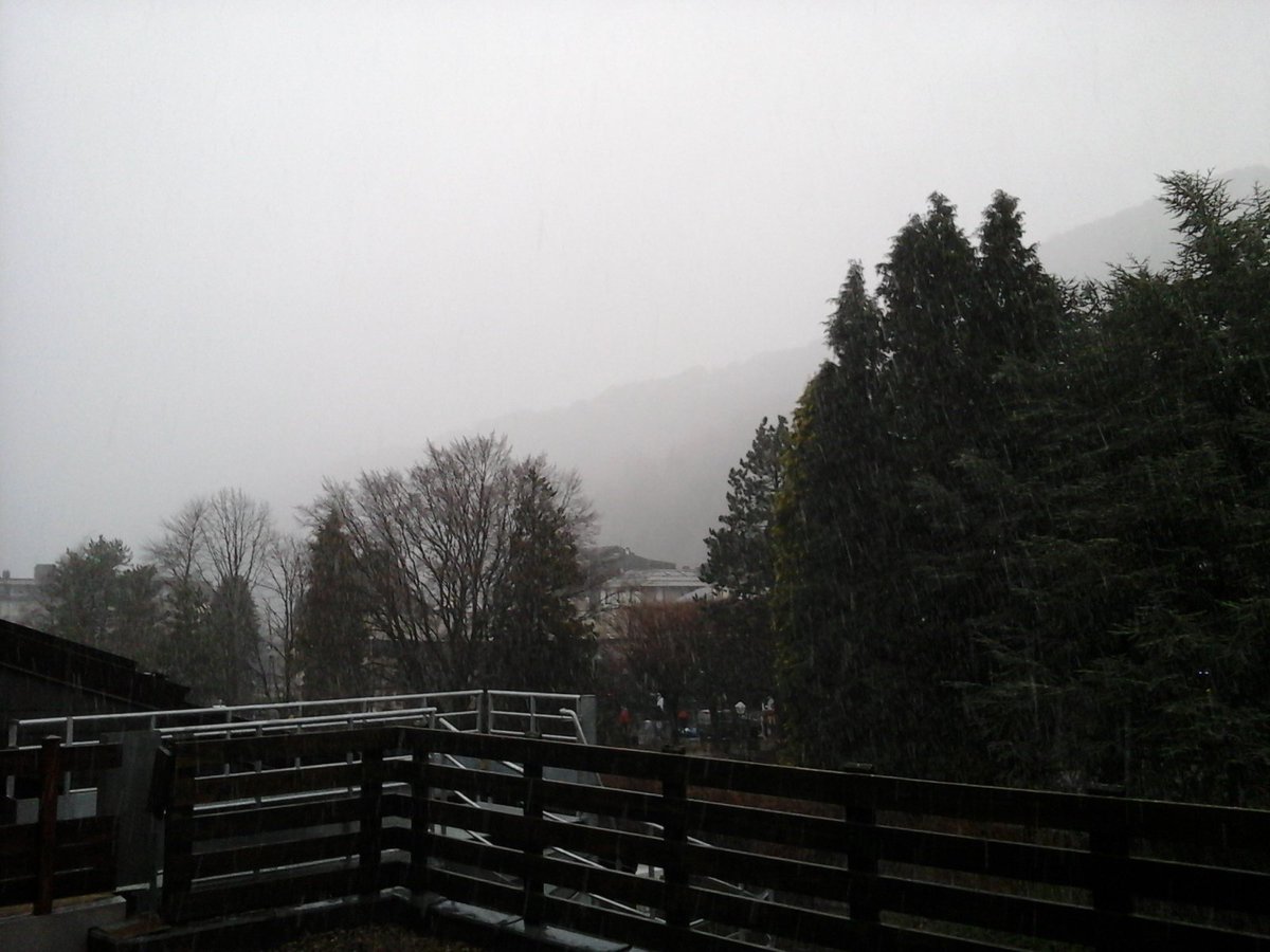 otmontdore's tweet photo. #meteosancy - Le Mont-Dore - 15 janvier 2023 - 9h20 - 1 °C ☁❄
@otmontdore @otsancy https://t.co/RvdJYFXO92