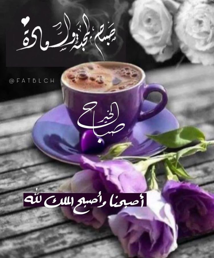 SheeRose5's tweet photo. @y990s https://t.co/hoiOf1r2cU