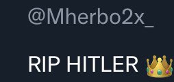 _BestF1ghts's tweet photo. @Mherbo2x_ Mf if hitler was still alive you ugly ass would be dead already monkey https://t.co/EbGPov7hlj