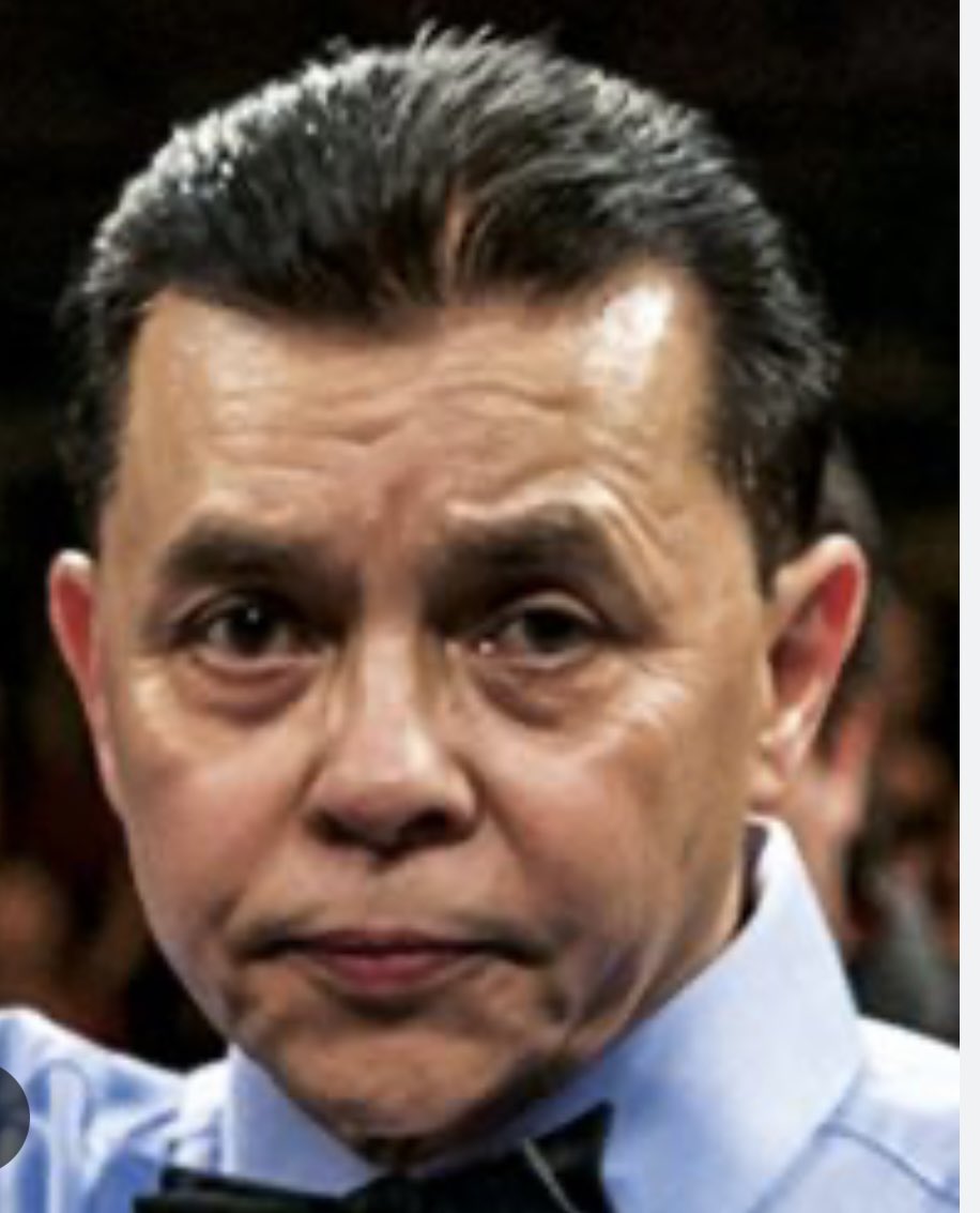Benjy Esteves Jr needs to be suspended #VianellovsRice #boxing #boxeo #efevsshaw
