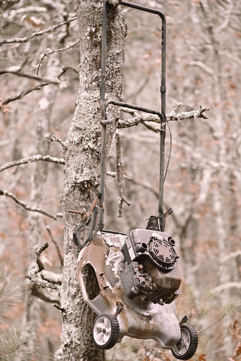 Is it junk if it’s interesting?  #awalkinthewoods 

At Frances A. Crane Wildlife Management Area