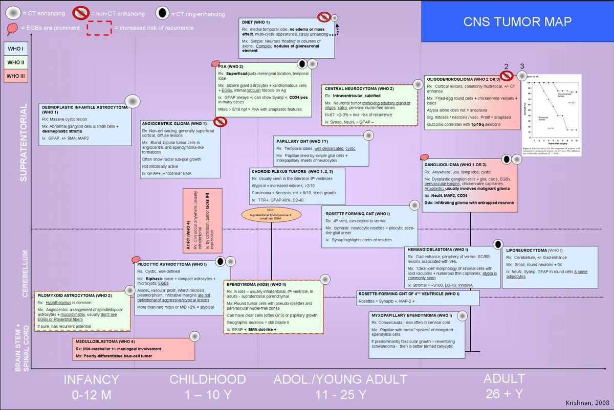 hematogones's tweet photo. Bonus: just for fun, here is my original CNS tumor map from 2008 that I made as a resident at .@StanfordPath to help me get my brain around CNS tumors. https://t.co/6GHIeFaamu