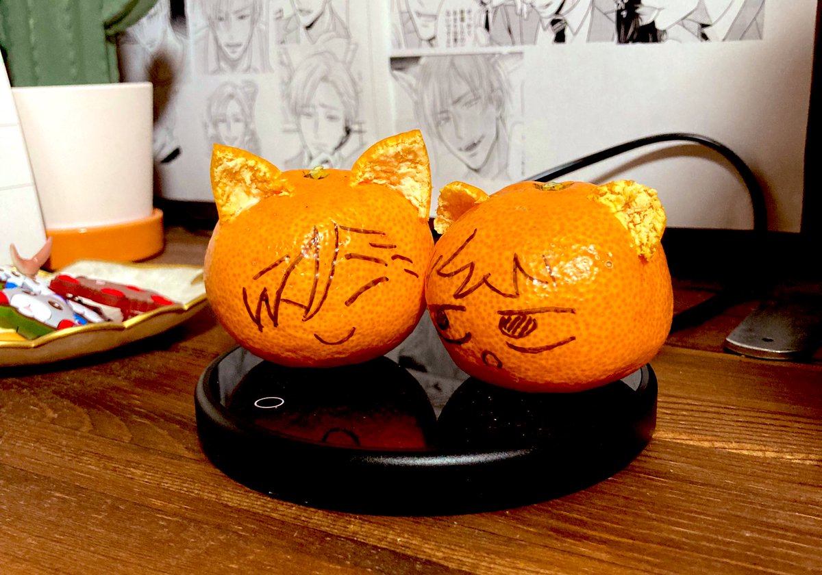 namiohana's tweet photo. 🍊🦊🐹💛 https://t.co/F3j44TL1GH
