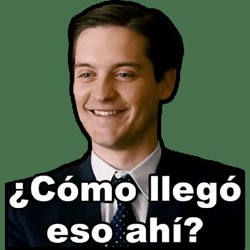 La miss USA mirando la corona en su cabeza: